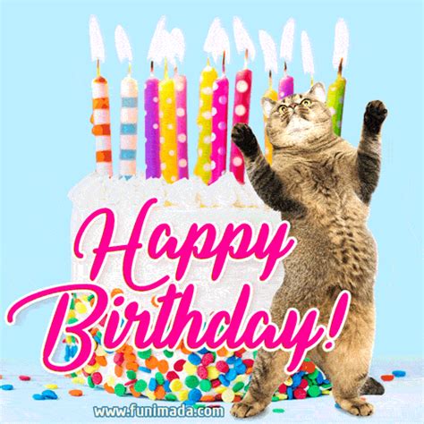 happy birthday gif images for her|Happy Birthday For Her Funny GIFs